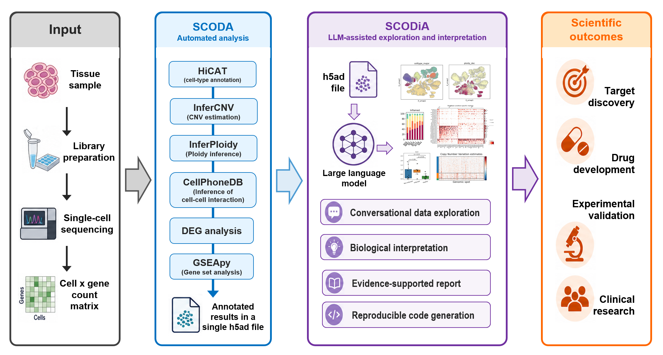 Workflow from tissue sampling and single-cell sequencing through SCODA automated analysis and SCODiA exploration to scientific outcomes